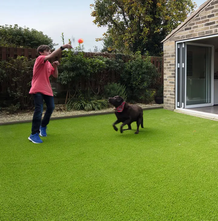 Boy playing fetch with a black dog on a bright green artificial lawn next to a modern garden room.